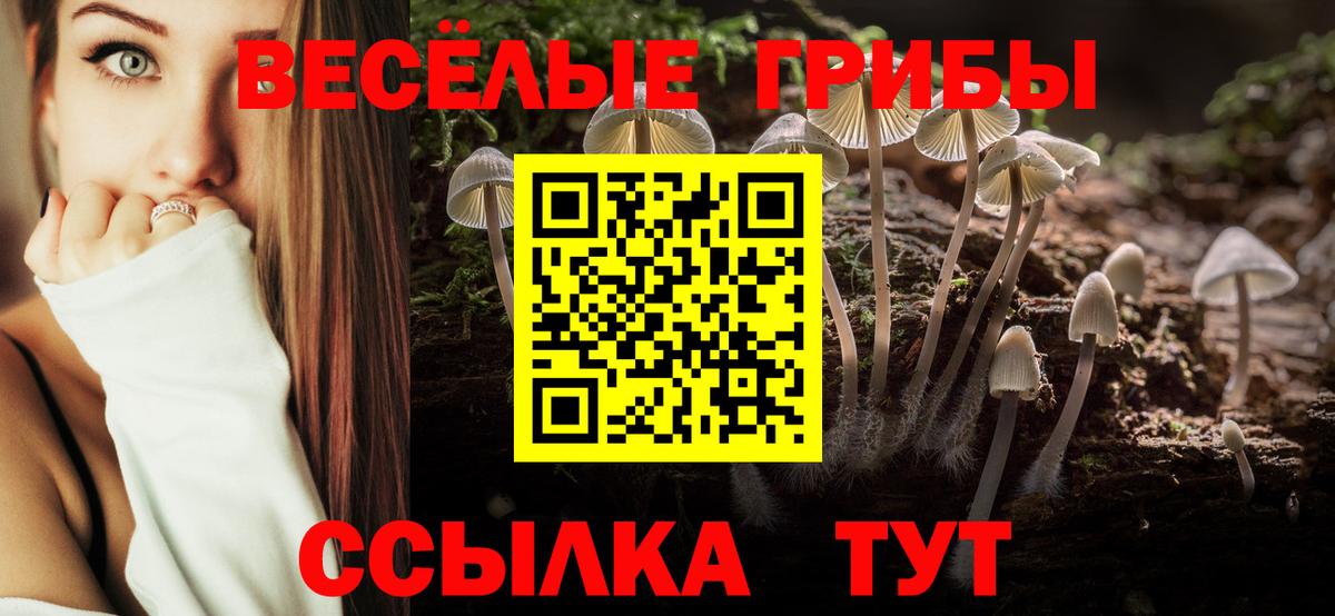 купить  цена  Вход с VPN  Комсомольск-на-Амуре  Псилоцибиновые грибы Magic Shrooms  Галлюциногенные грибы Psilocybe 
